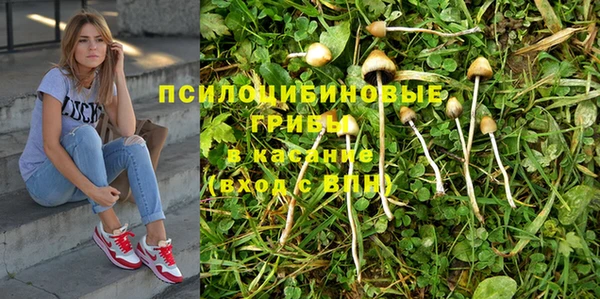 эйфоретик Абдулино