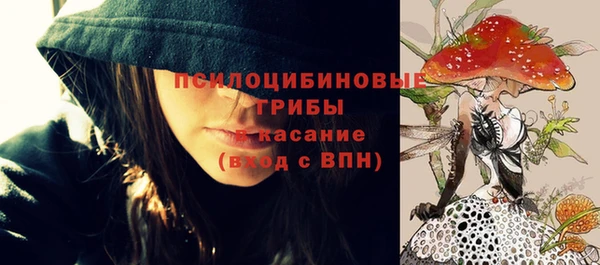 спиды Абаза
