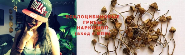 эйфоретик Абдулино