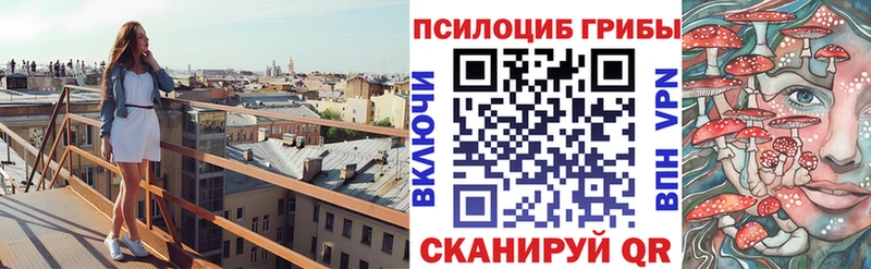как найти закладки  Камышлов  Псилоцибиновые грибы Psilocybe 